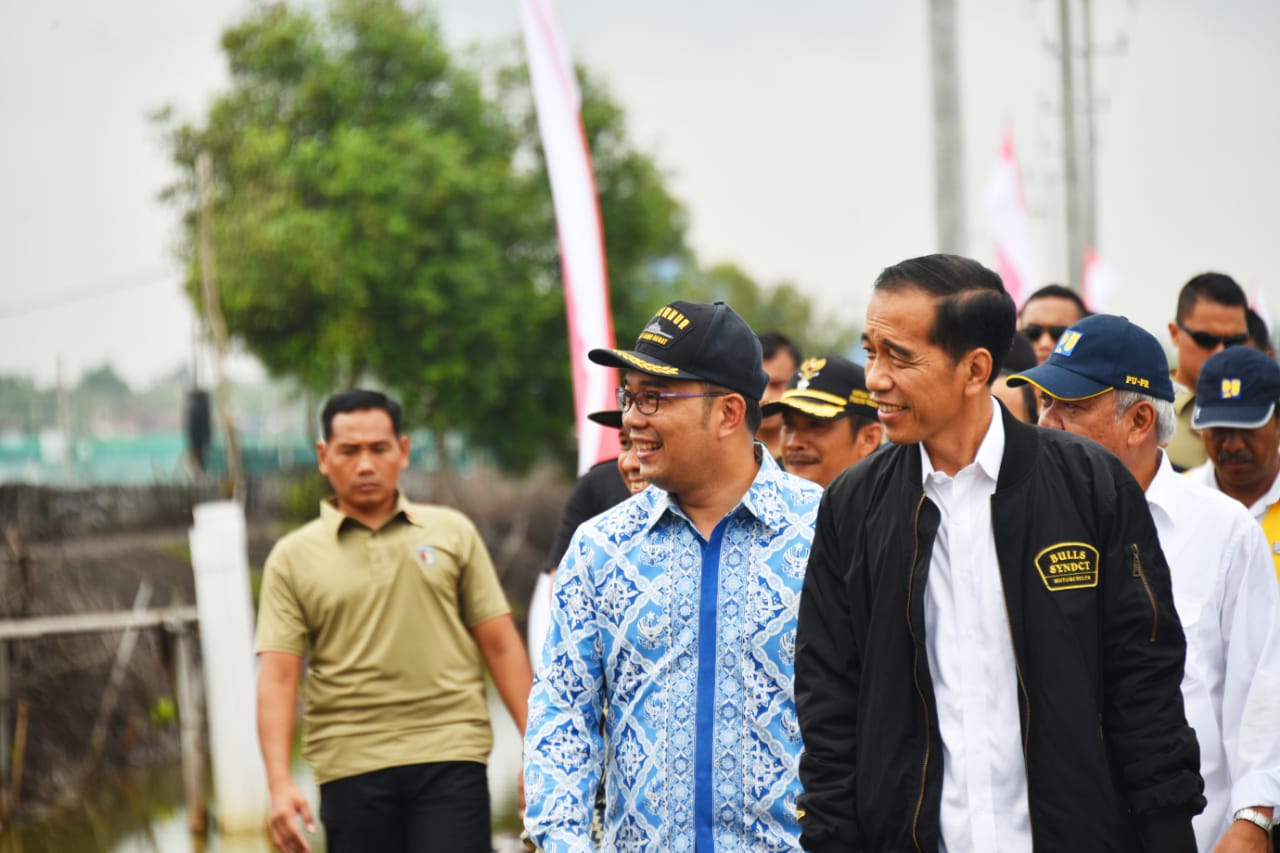 BAPPEDA JABAR - Pernah Gagal, Petani Udang Vaname di Muara Gembong Bisa Panen Raya