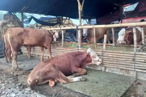 BAPPEDA JABAR